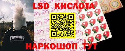 мяу мяу мука Краснознаменск