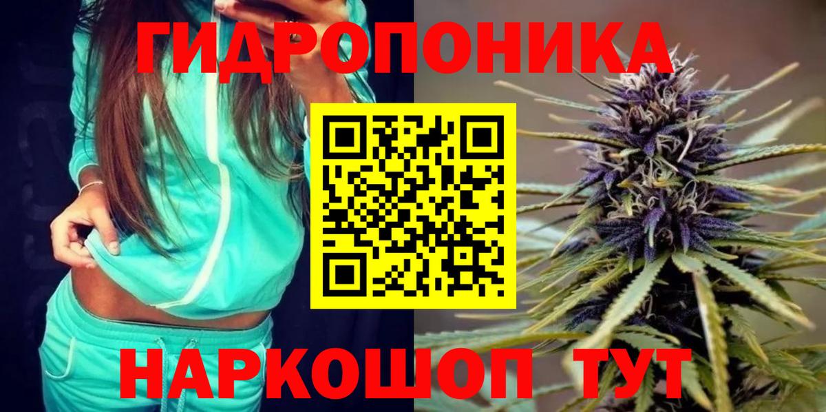 Сызрань  Канабис ГИДРОПОН  Конопля VHQ  Вход с VPN  МАРИХУАНА марихуана 